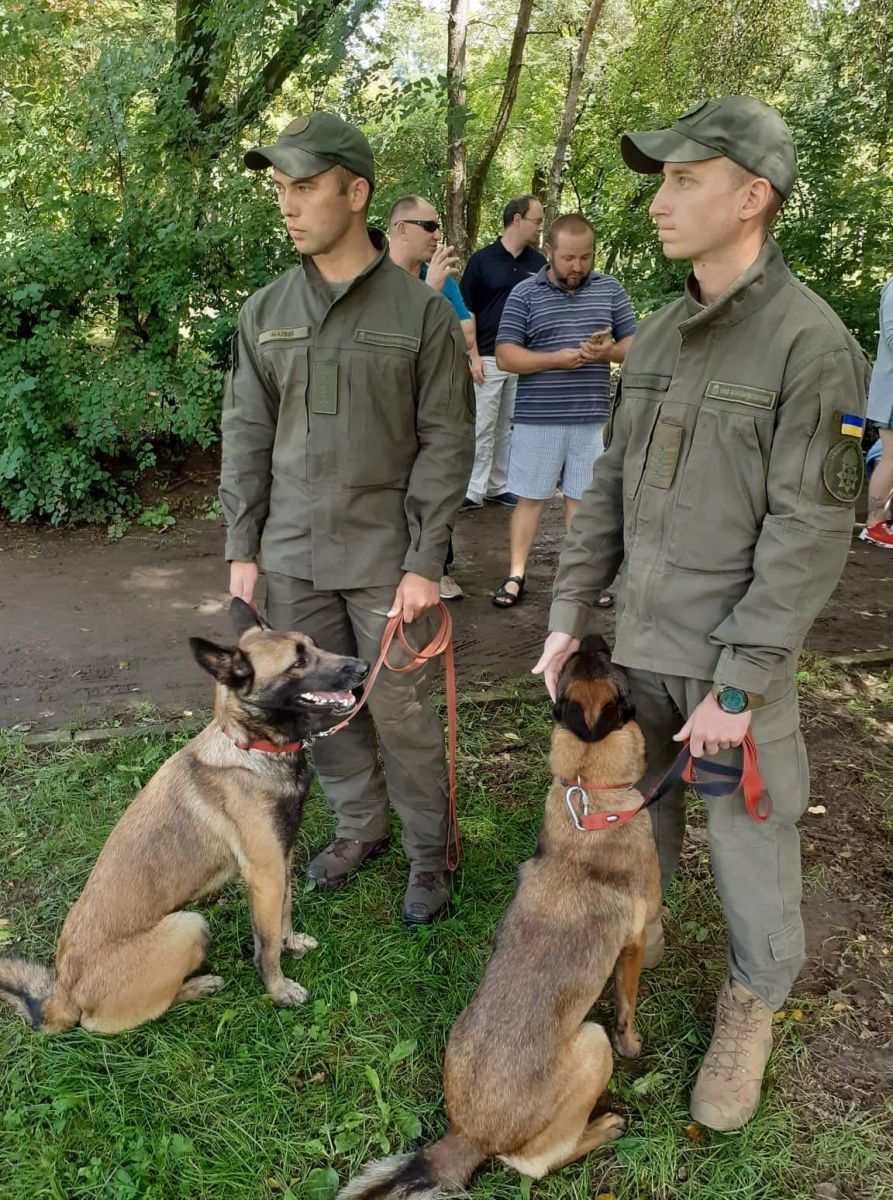 Во Львове наградили собак, которые выполняли боевые задачи в Донбассе
