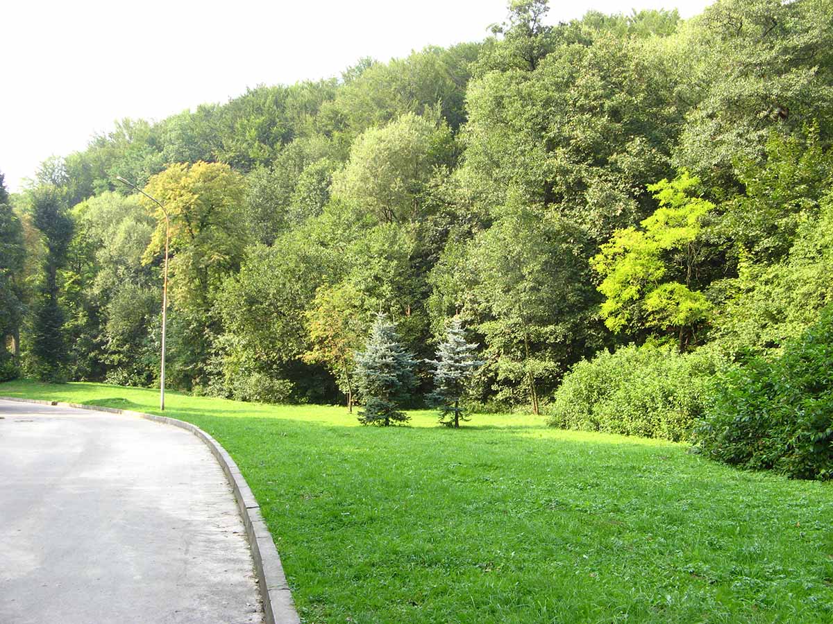 В семи парках Львова проводят акарацидную обработку (перечень)