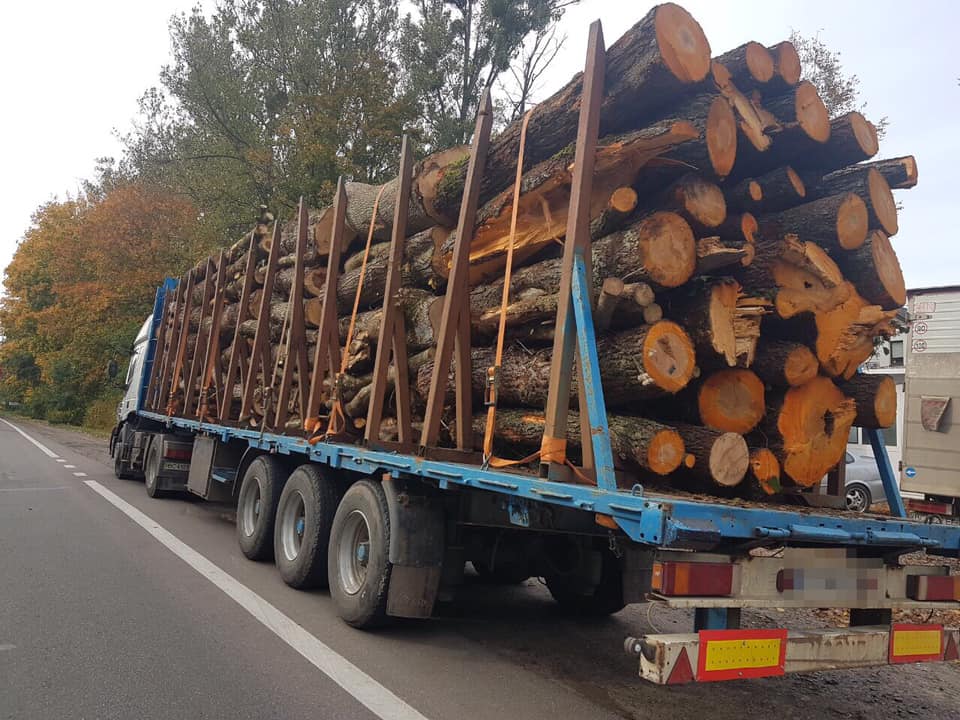 На Львовщине остановили грузовик с нелегальной древесиной