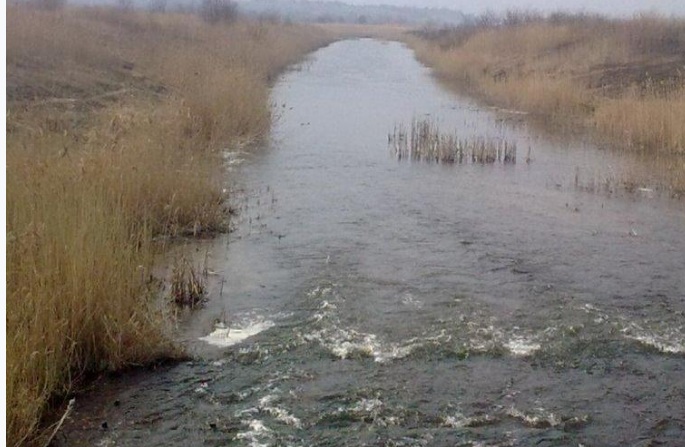 На границе с Польшей почернела река