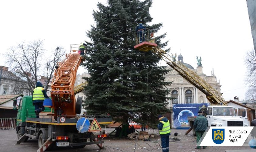 Во Львове убрали елку