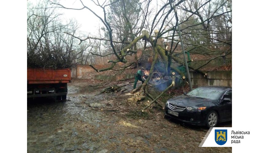 Негода у Львові: повалені дерева та понівечені автівки