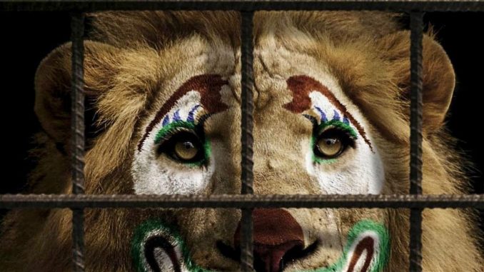 Рада підтримала петицію про заборону використання тварин у цирках
