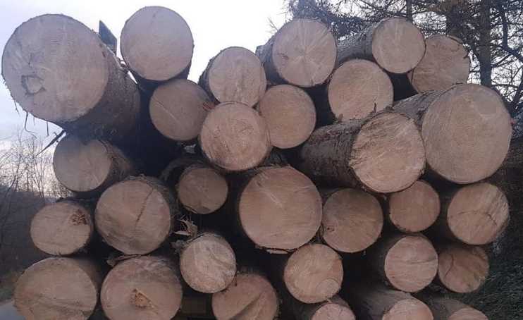 На Сколівщині поліцейські вилучили вантажівку з нечипованою деревиною