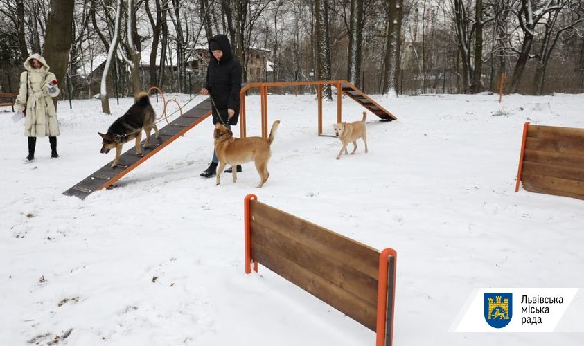 У Львові облаштували ще один тренувально-вигульний майданчик для собак