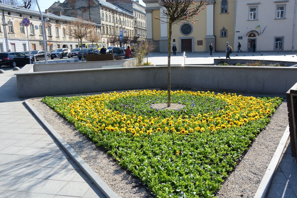 У районах Львова продовжують висаджувати квіткові композиції
