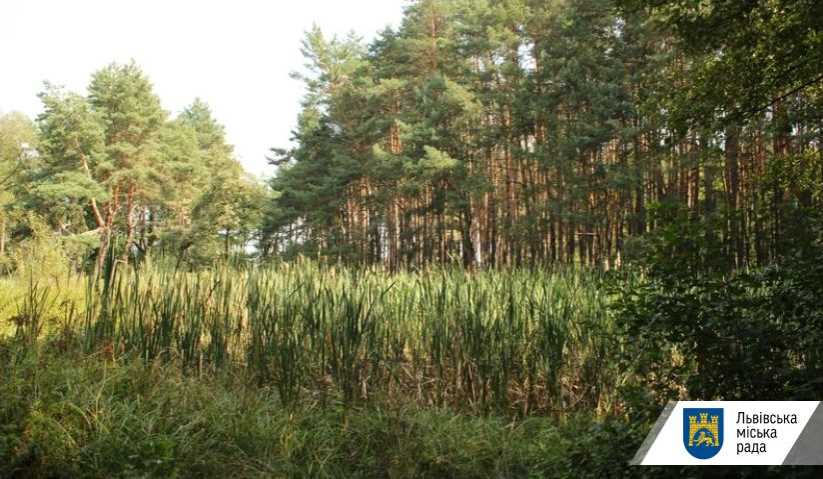 Львів розпочинає перші роботи з інвентаризації «Лісопарку Рудно»