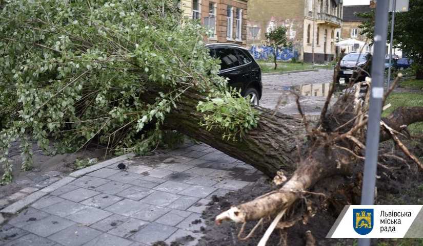Внаслідок сильного вітру у місті повалено 15 дерев і пошкоджено 13 покрівель