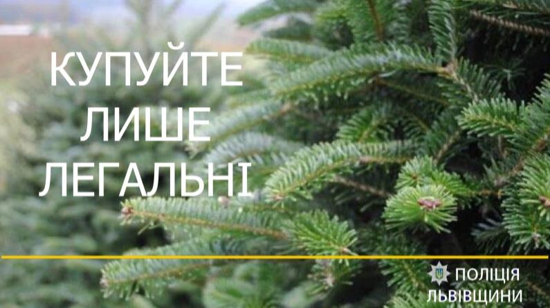 Купуйте лише чиповані: поліцейські Львівщини розпочали рейди з перевірки законності реалізації ялинок