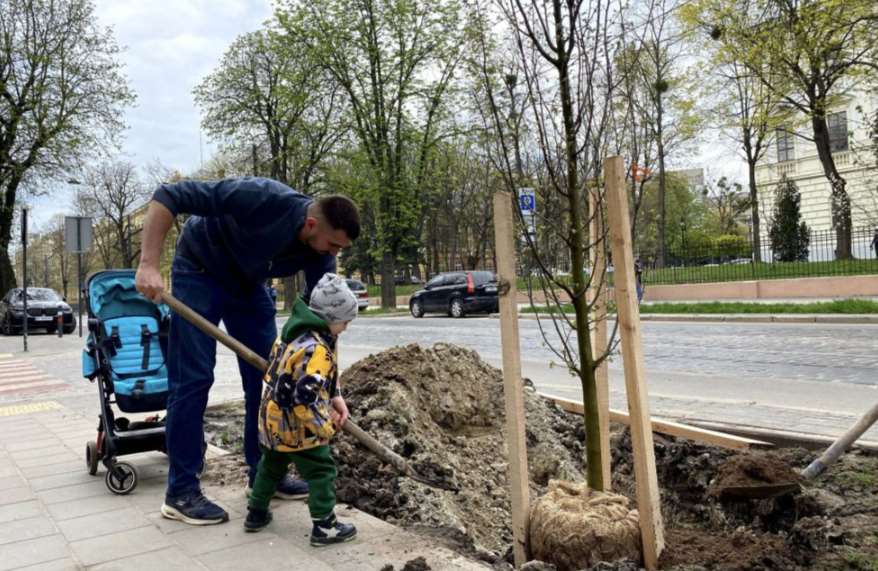 На вулиці Степана Бандери висаджують дерева