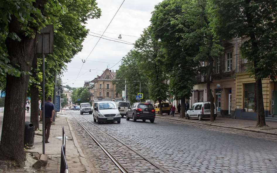 На вулиці Степана Бандери вже посадили 108 дерев, а біля Органного залу висадять 2500 кущів