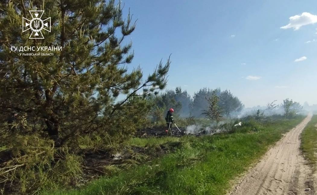 Упродовж доби рятувальники Львівщини ліквідували 12 пожеж сухої трави