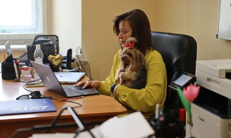 Візьми собаку на роботу: працівники мерії Львова прийшли на роботу із чотирилапими
