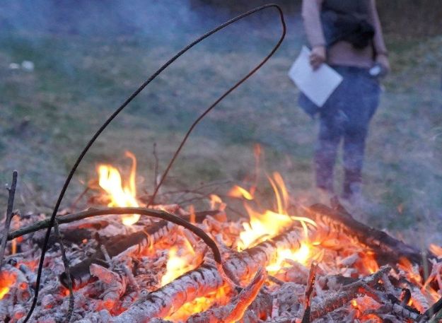 На Львівщині з початку року зафіксували понад 180 пожеж в екосистемах