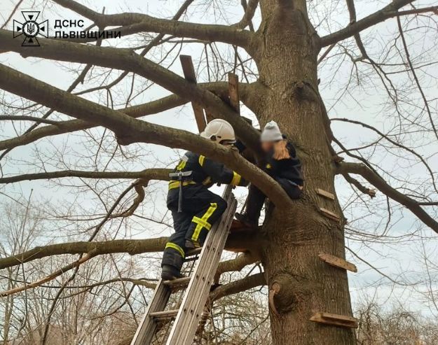 На Львівщині дівчинка застрягла на дереві: її знімали рятувальники