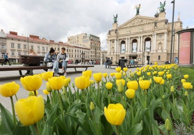 У Львові розквітло понад 100 тисяч тюльпанів