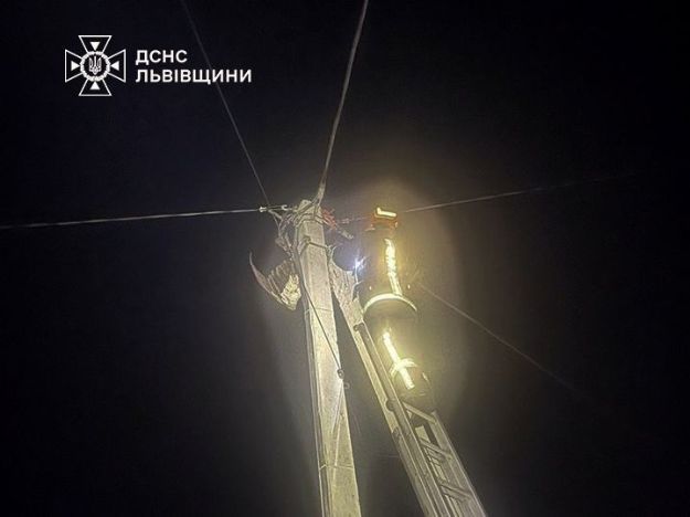 Львівські надзвичайники врятували лелеку, який заплутався в електричних дротах