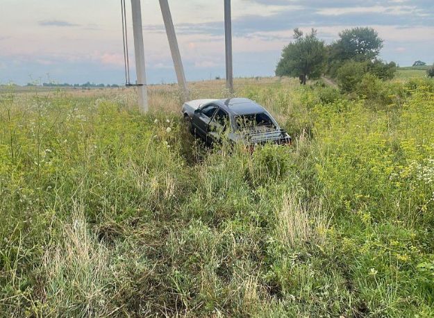 На Львівщині легковик збив пенсіонерку з коровою