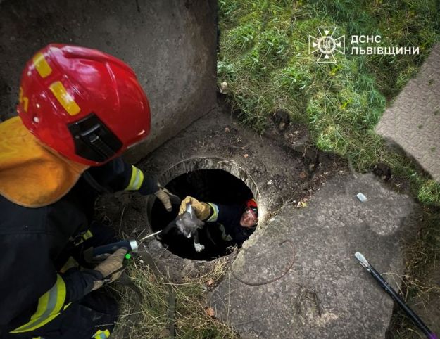 Львівські рятувальники витягнули з каналізаційного колектора цуценя