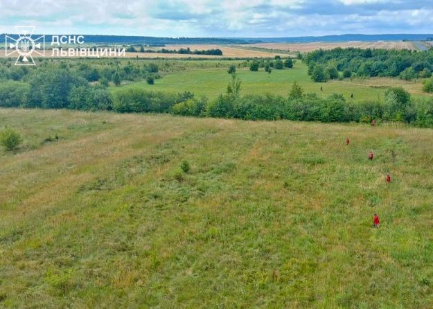 На Львівщині розшукали зниклу тиждень тому 11-річну дівчинку