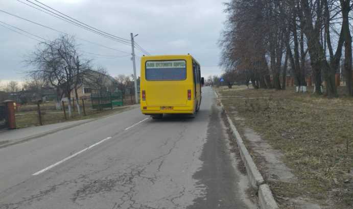 Водія маршрутки на Львівщині відсторонили після погроз пасажиру через е-квиток