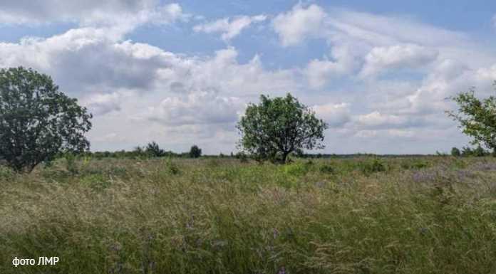 Суд повернув львівській громаді ще майже 3 га заказника «Торфовище Білогорща»