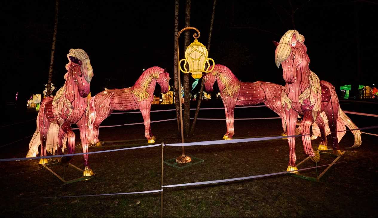 У львівському Парку культури встановлять масштабні світлові інсталяції