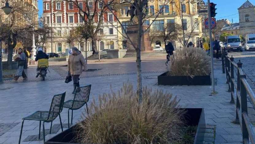 У Львові встановили огородження для захисту дерев від протиожеледних засобів