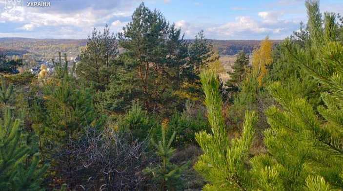 Прокуратура подала позов про повернення громаді 5 га цінних земель біля Львова