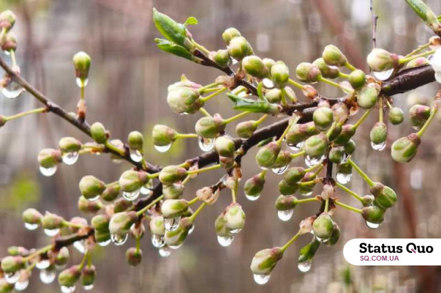 Синоптики розповіли, якою буде погода у Львові на Великдень