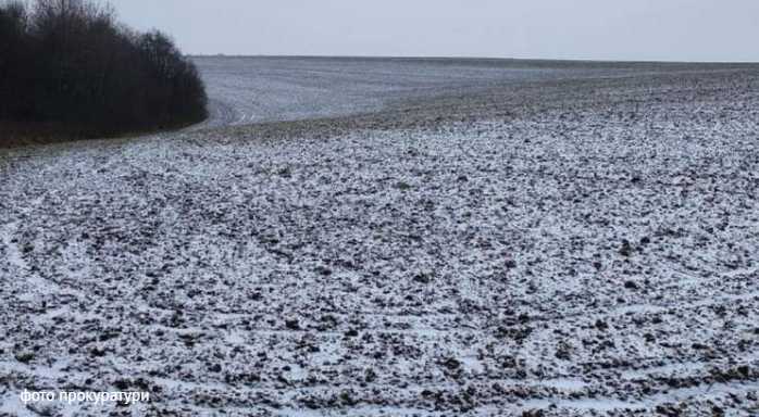 У відомого агрохолдингу забрали 84 га на Львівщині через нецільове використання