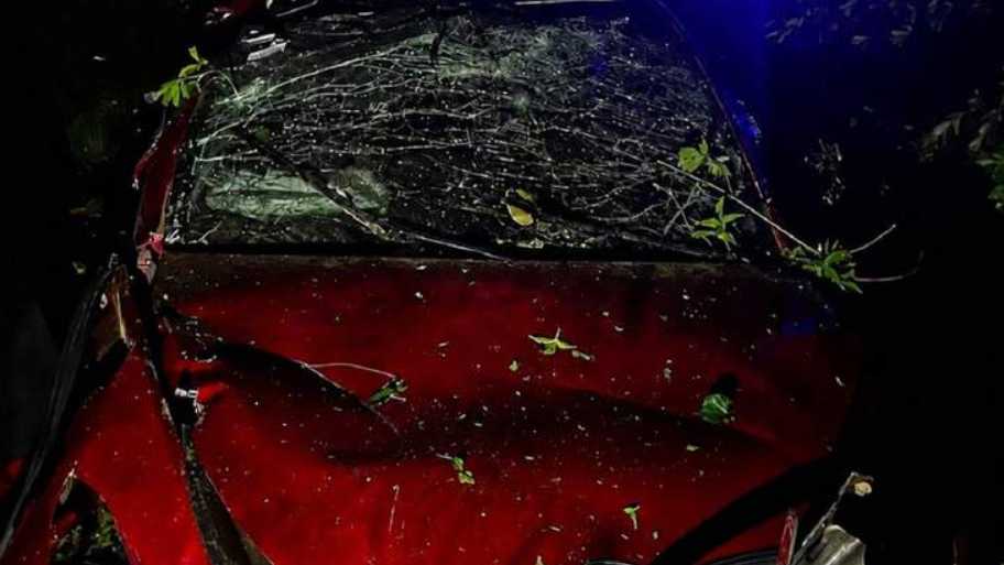 На Львівщині внаслідок перекидання автомобіля Tesla загинула одна людина
