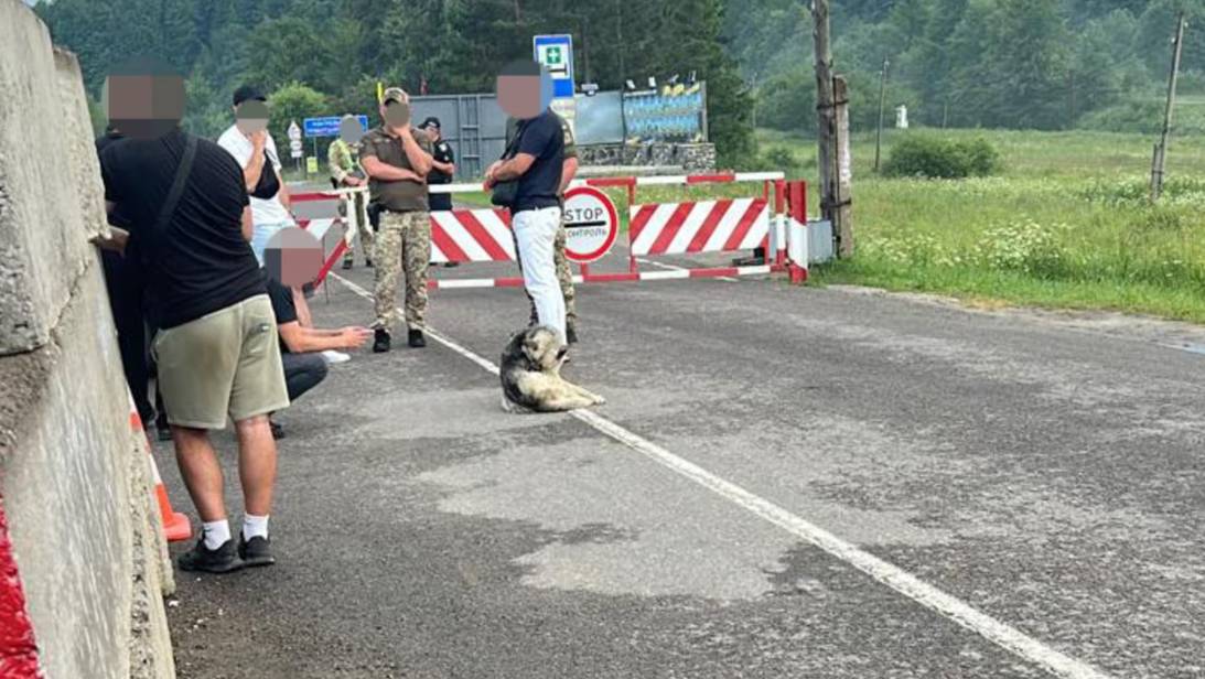 На блокпосту Львівщини правоохоронці затримали офіцера Національної гвардії