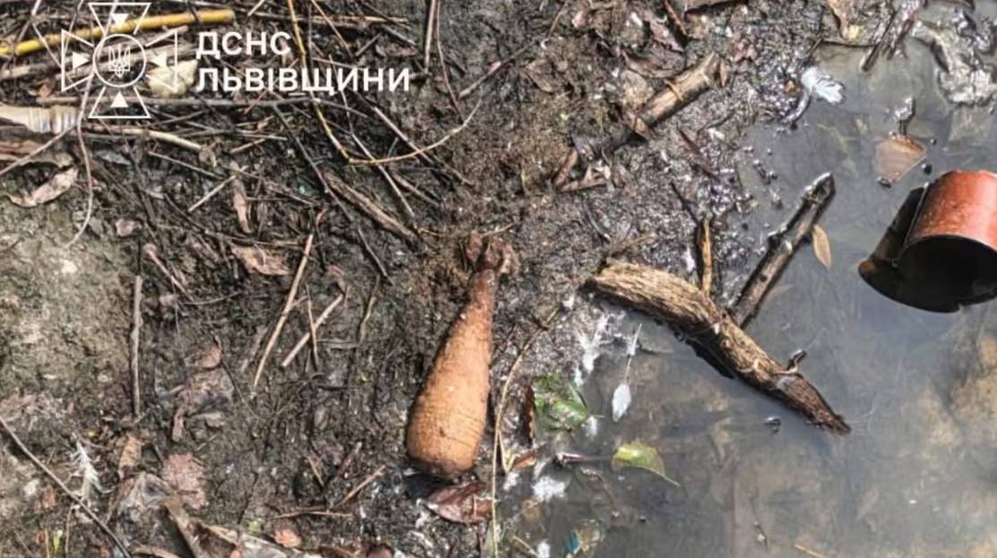 На Львівщині в обмілілому озері виявили мінометні міни