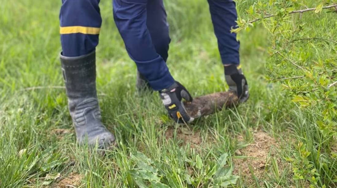 На Львівщині знищили два артснаряди