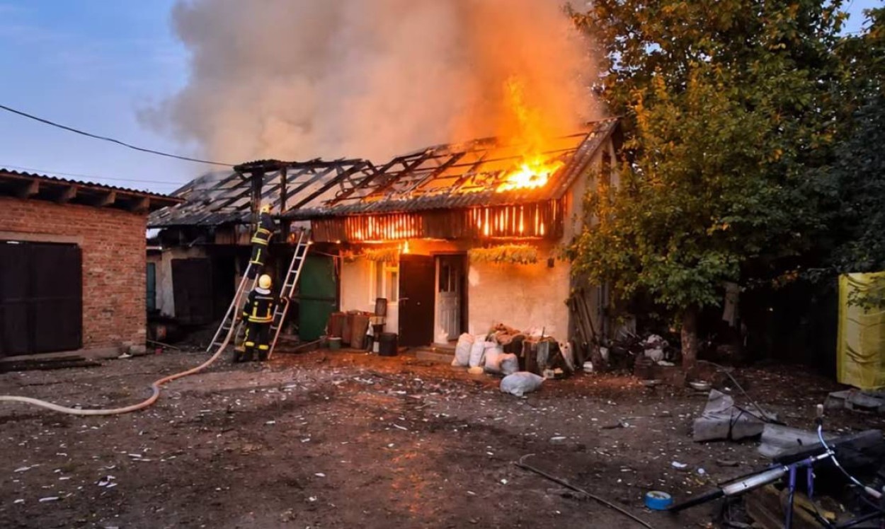 У Львівському районі під час пожеж надзвичайники врятували тварин